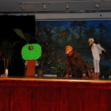 image401  TUSHAR ROY