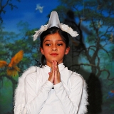 image418  TUSHAR ROY