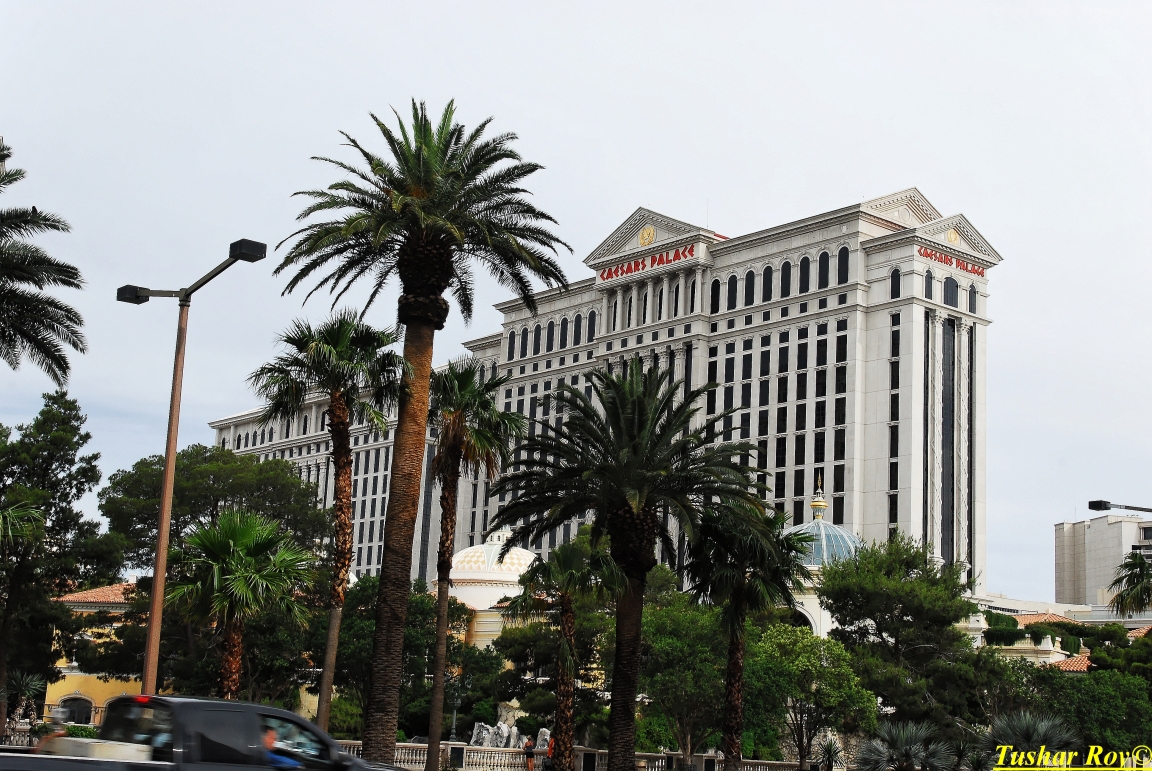 Las_Vegas.0599.jpg