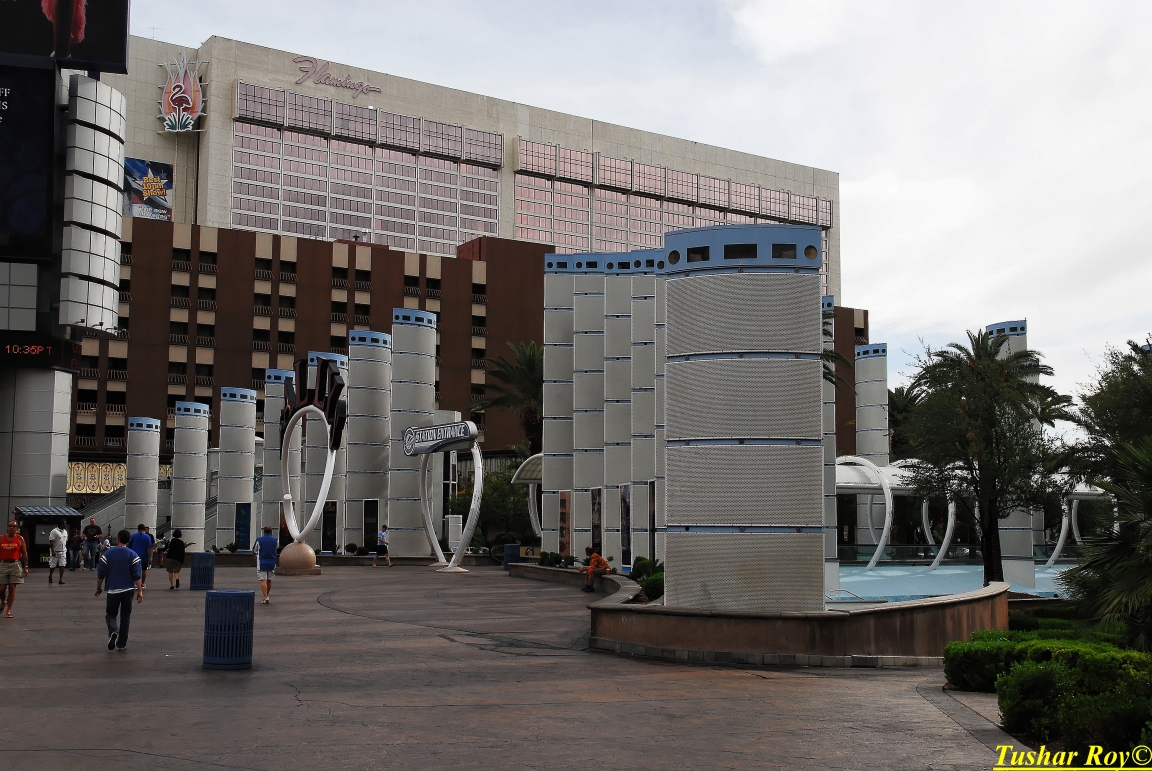 Las_Vegas.0602.jpg
