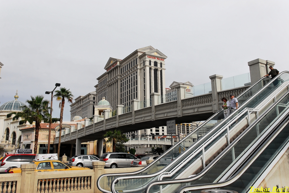 Las_Vegas.0604.jpg