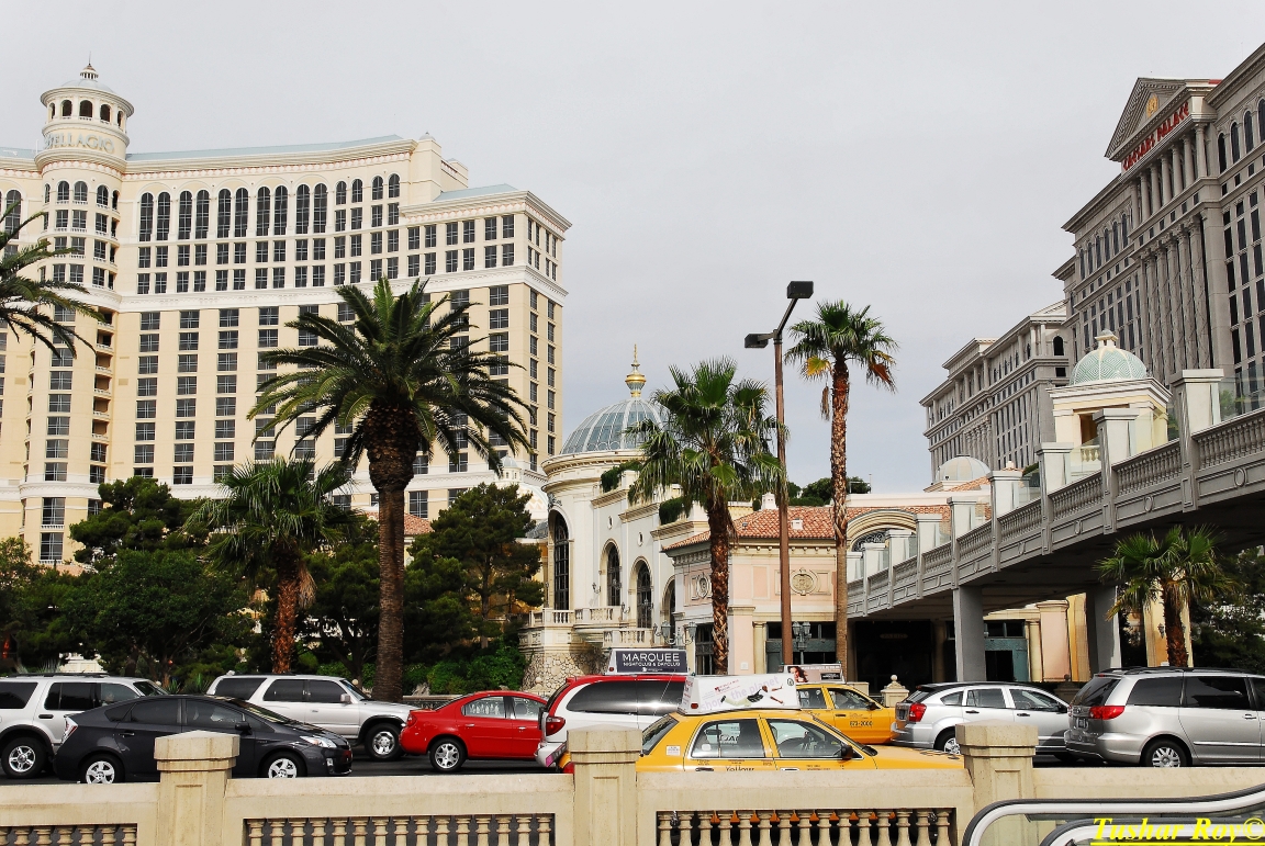 Las_Vegas.0605.jpg