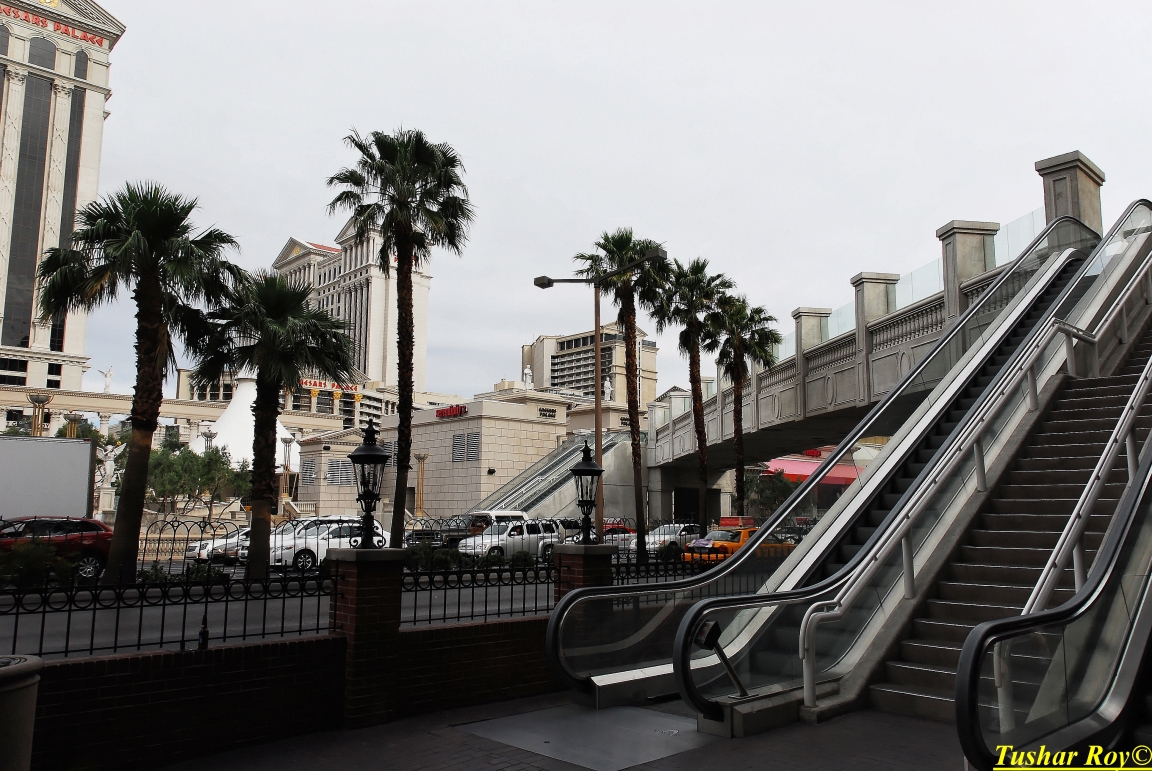 Las_Vegas.0614.jpg