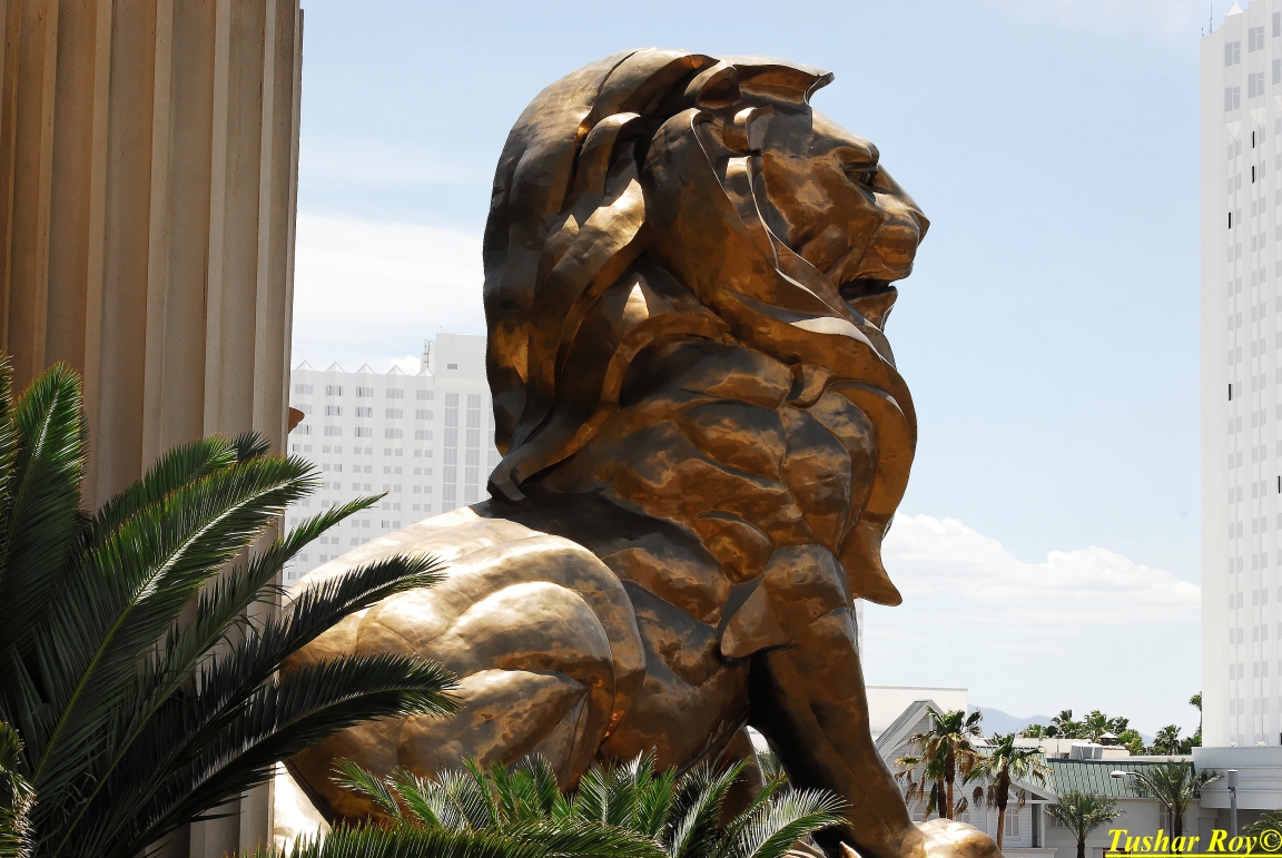 Las_Vegas.0767.jpg