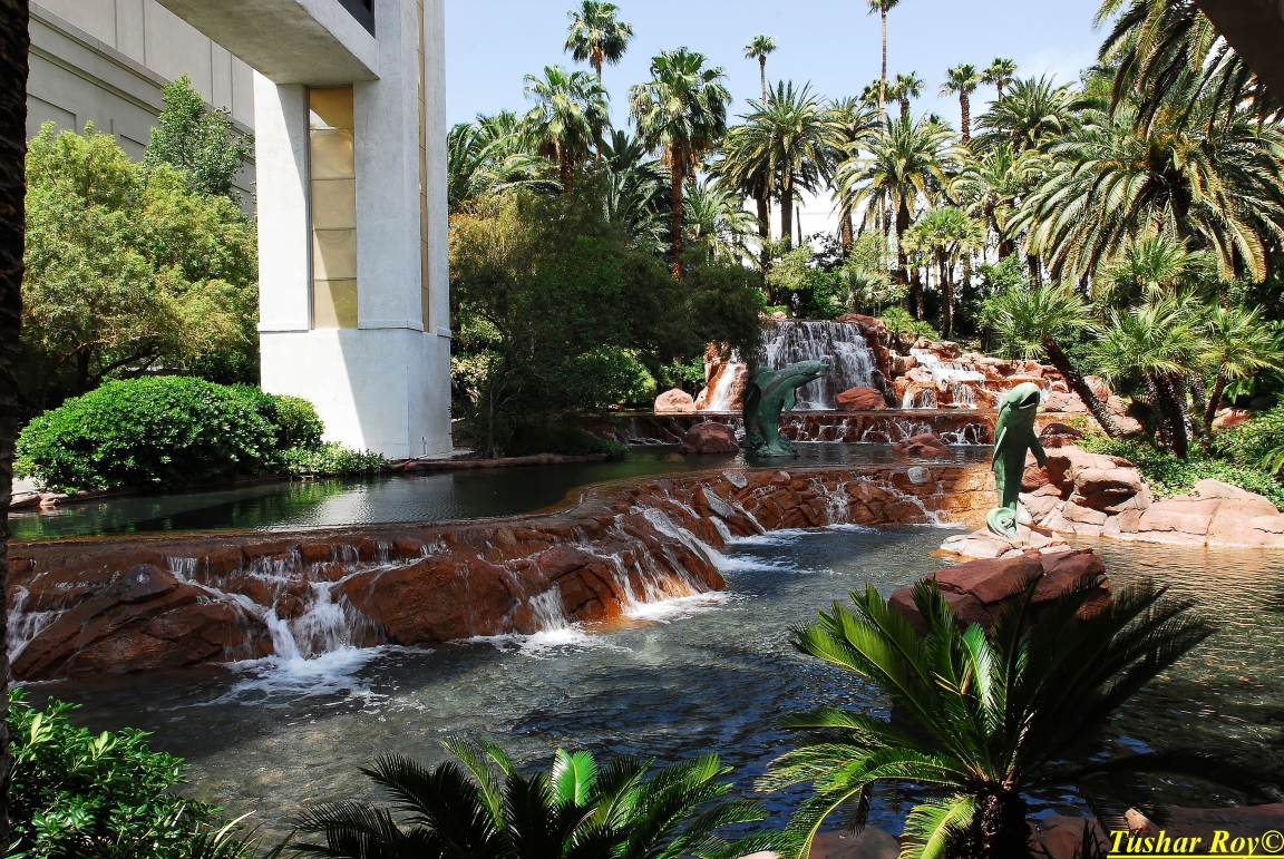 Las_Vegas.1073.jpg