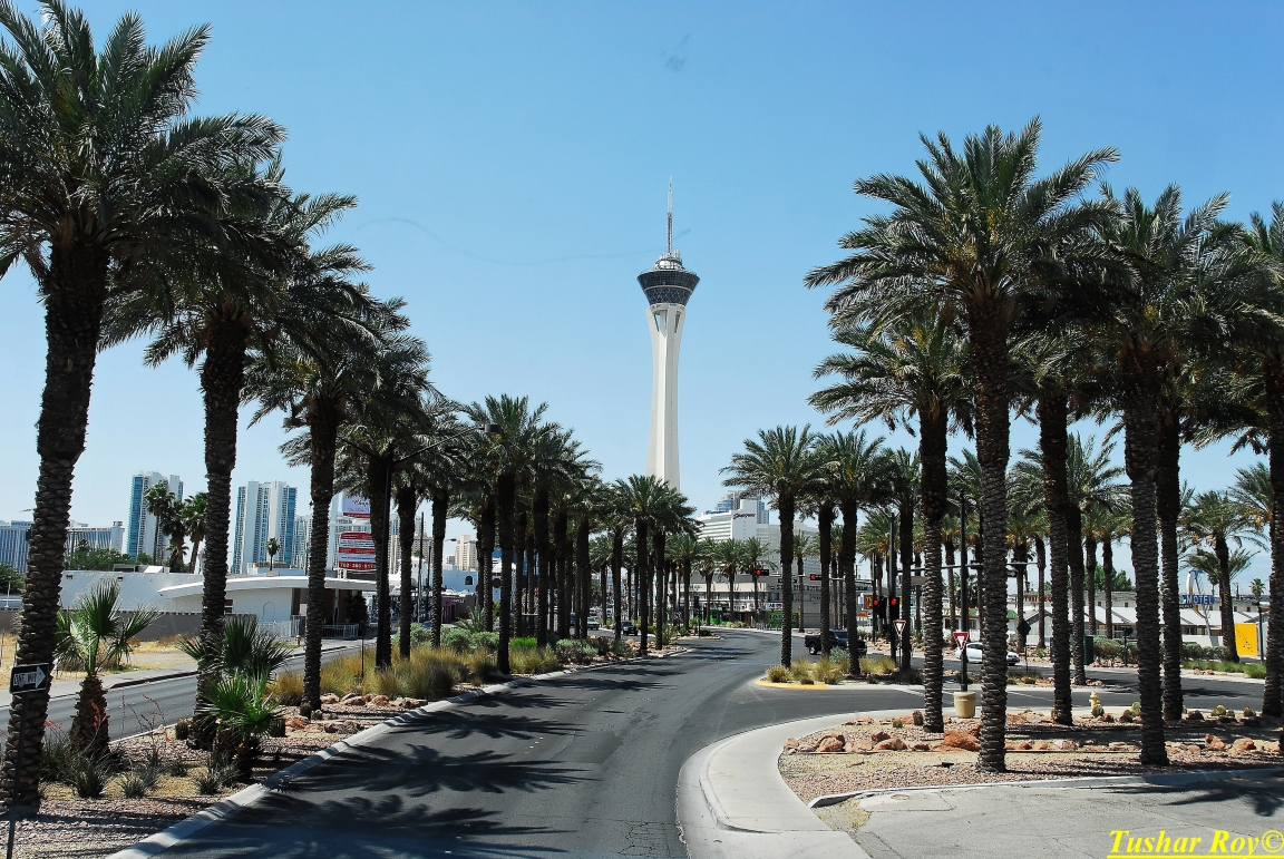 Las_Vegas.1338.jpg