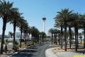 Las_Vegas.1338