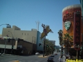 Las_Vegas.1557